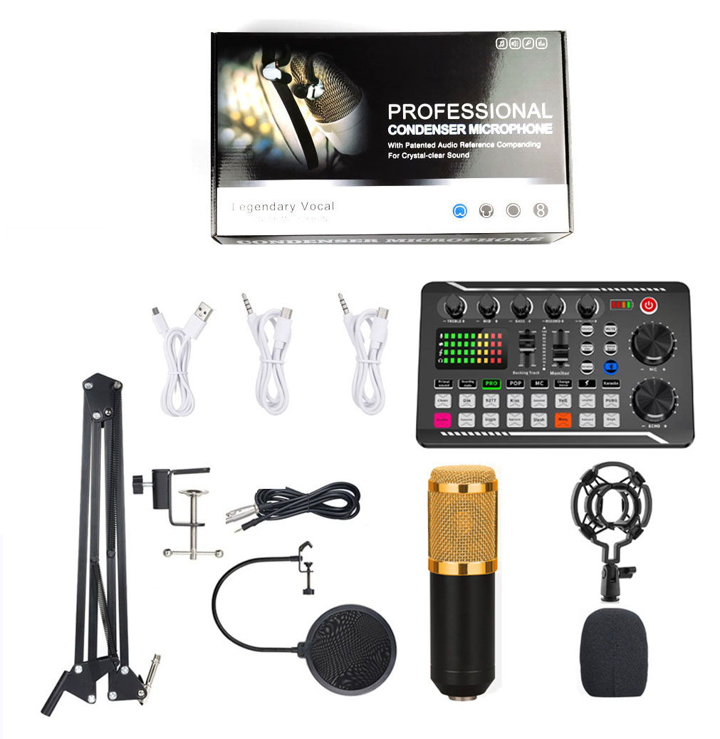 Ensemble BM800 noir + Carte son