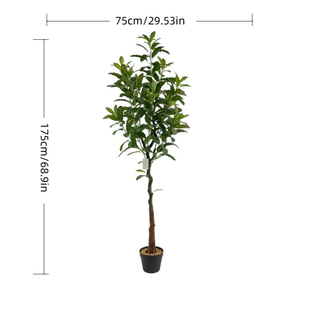 XY2503-2491 170CM