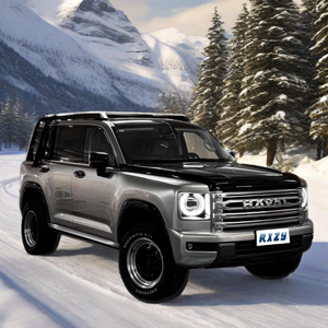 Fabrika yeni araba H9 H9 2025 4WD kış kullanımı lüks arabalar arabalar benzinli arabalar kullanılan araçlar ucuz çin Off-road SUV - Product Image 1