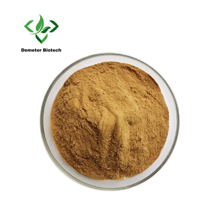 Natural 10% Polysaccharose Lion's Mane Mushroom Extract Hericium Erinaceus Extract Powder