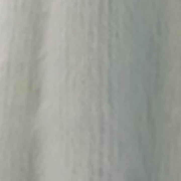 Bean green