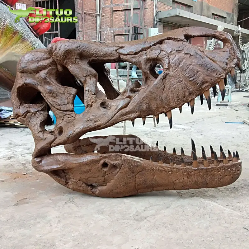 Modelo de calavera t-rex para exposición de museo