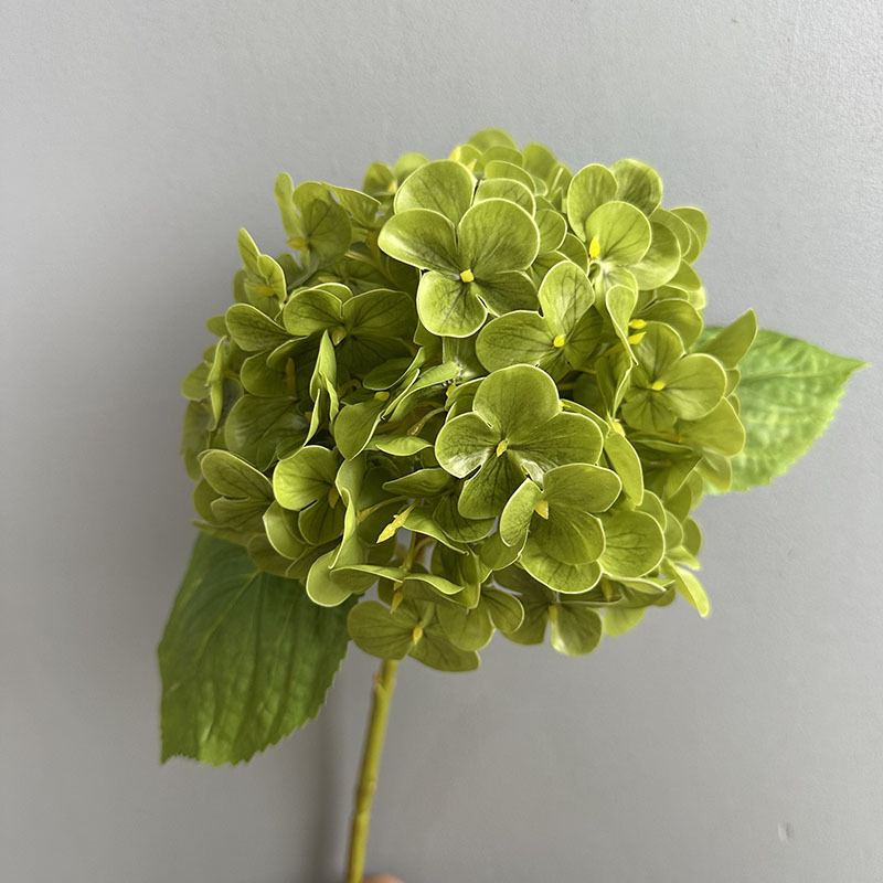 Vert foncé