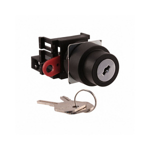 BOM Order List Support <strong>A22K</strong>-<strong>2AL</strong>-10 Flat Key Actuator Keylock Switch SPST-NO 2 Position Panel Mount A22K2AL10 Screw Terminal