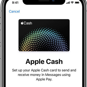 Small Cards Are Used for the <strong>Apple</strong> Cash Account. - Product Image 6
