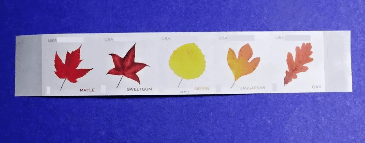 Bobine de carte postale feuilles vibrantes blanches Y243 2025