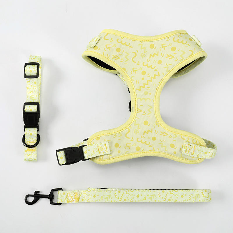 สีเหลือง