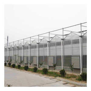 Invernadero de vidrio con sistema de riego, Sistema Automático resistente al viento y duradero, tipo venlo para verduras, multispan - Product Image 1