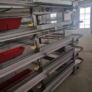 En iyi fiyat h-tipi 6-Tier otomatik bıldırcın tabakası yumurta kafesi besleyici ve pil ile kuşlar için sıcak daldırma galvanizli çelik dahil - Product Image 4