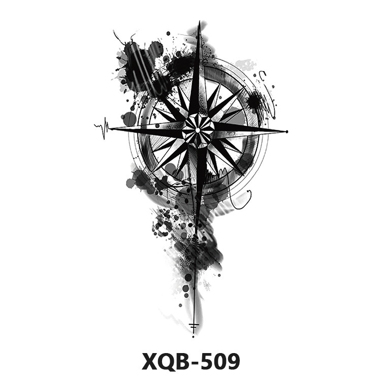Numéro de modèle: XQB509