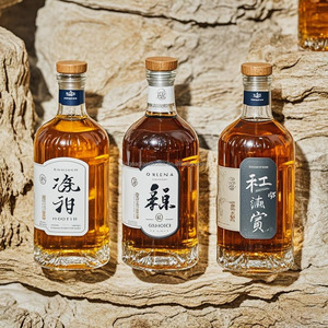 骷髅头形玻璃酒精酒精瓶100 400 750毫升超清佛陀玻璃瓶