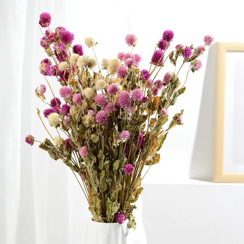 Сухие цветы гомфрены 50-60 см, цветочный шар, амарант, магнолифита, гомфрена, глобоза, сухие цветы для изготовления свечей, недорогие сухие цветы