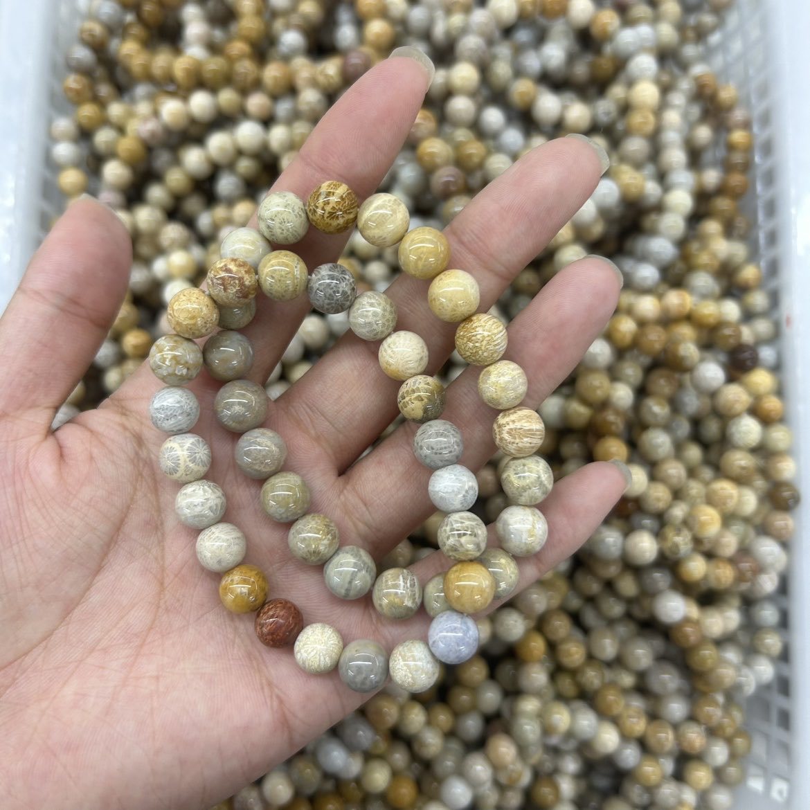 jade fossile