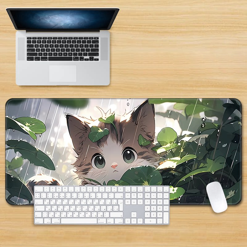chaton 88605