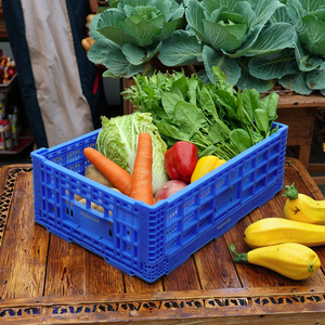 HAOSEN 50L Cesta de almacenamiento de frutas y verduras plegable de alta resistencia Reciclable PP Malla Caja plegable Contenedor plegable apilable - Product Image 1