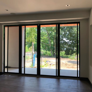 Customizable Modern Style Sliding Door with French Design Steel Frame Hanging Curtain-IdealCN <strong>Supplier</strong> - Product Image 1