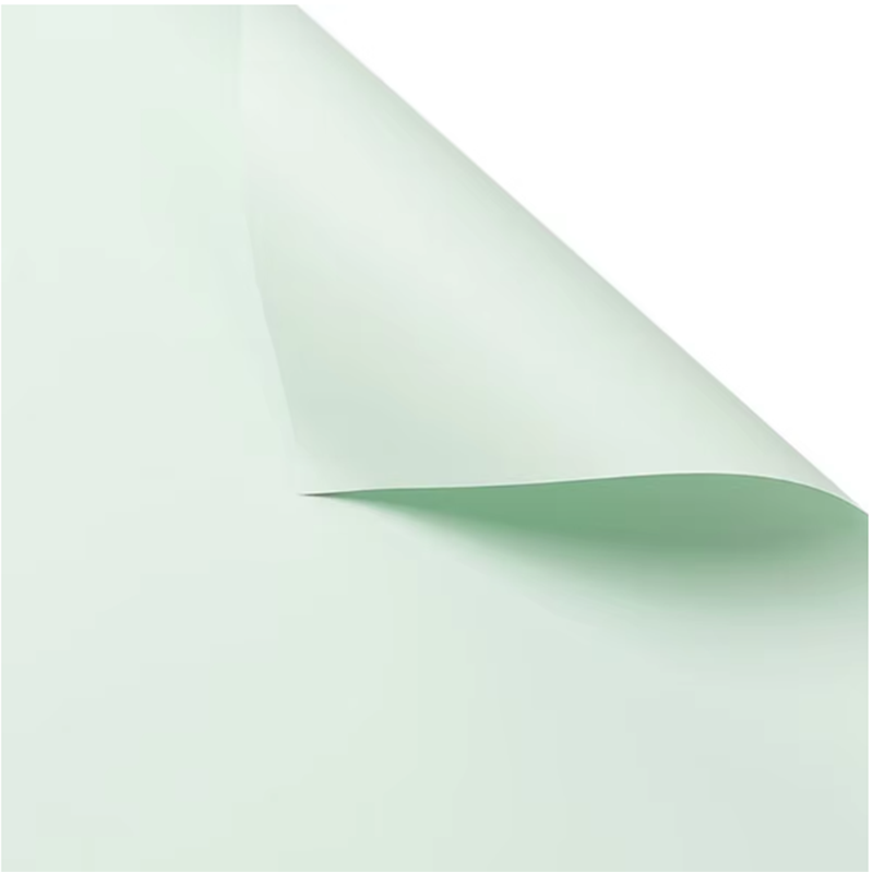 Frijol verde