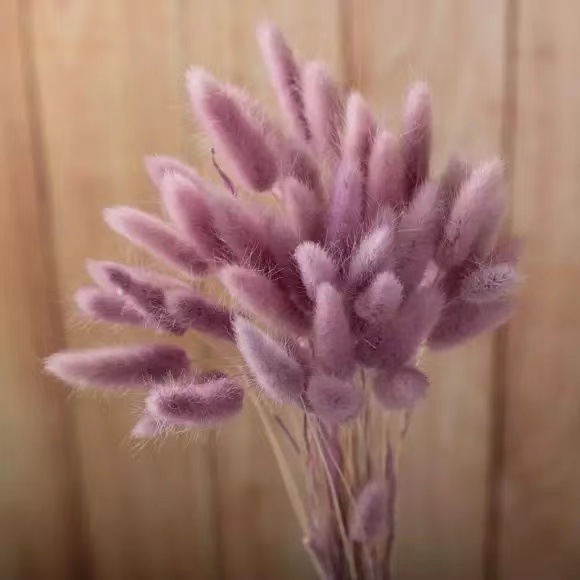 Couleur pourpre rosâtre