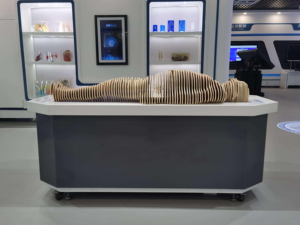 IN-Int DP Digital <strong>Human</strong> Model for Anatomy Teaching Medical School Students Training Tool - Product Image 4