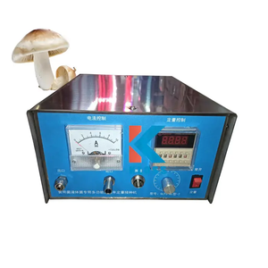 Máquina embolsadora de línea de producción de setas de alto rendimiento para un manejo eficiente de sustratos de hongos - Product Image 4