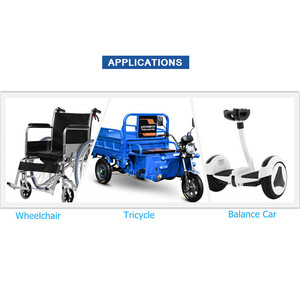 <strong>Electric</strong> Folding Bike Conversion Kit MY1016 250W 24V High Speed Brush DC <strong>Motor</strong> with 24H <strong>Sprocket</strong>