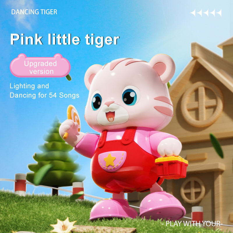 Pink-54 chansons-Version rechargeable