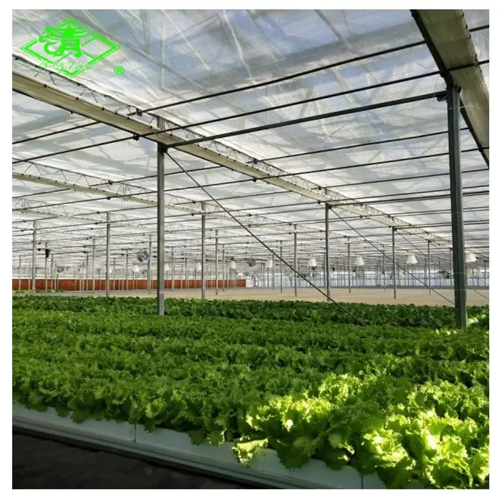 Pellicola trasparente della copertura del tetto della copertura della serra del polietilene di agricoltura per la serra