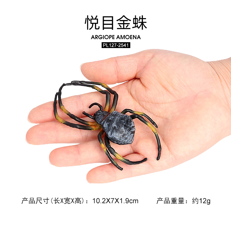 2541 Araña Argiope amoena
