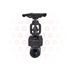 800LB 3/8" 3/4" 1" 2" Class 150 200 300 500 <strong>800</strong> Manual Carbon Steel Check <strong>Valve</strong> Control <strong>Globe</strong> <strong>Valve</strong>