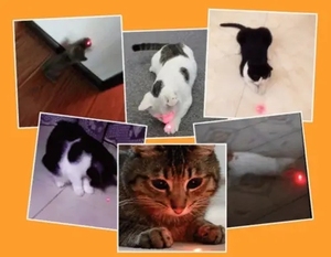 2 in 1 LED lazer işaretçi kedi interaktif oyuncak USB kırmızı işık kedi fare kovalayan oyuncak komik elektrikli kedi oyuncaklar ile metal anahtarlık - Product Image 6