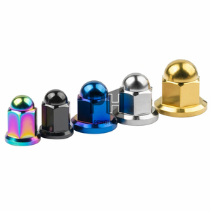Personalizado GR5 Ti Alloy <span class=keywords><strong>Titanium</strong></span> Nut M6 M8 M10 Hex Dome Flange Nuts Grau 5 <span class=keywords><strong>Titanium</strong></span> Cap Nuts para bicicleta Motorcycle Car