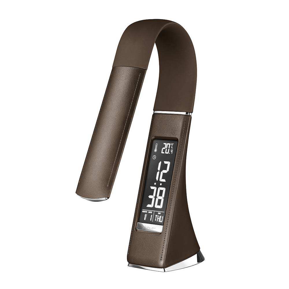 สีน้ำตาล