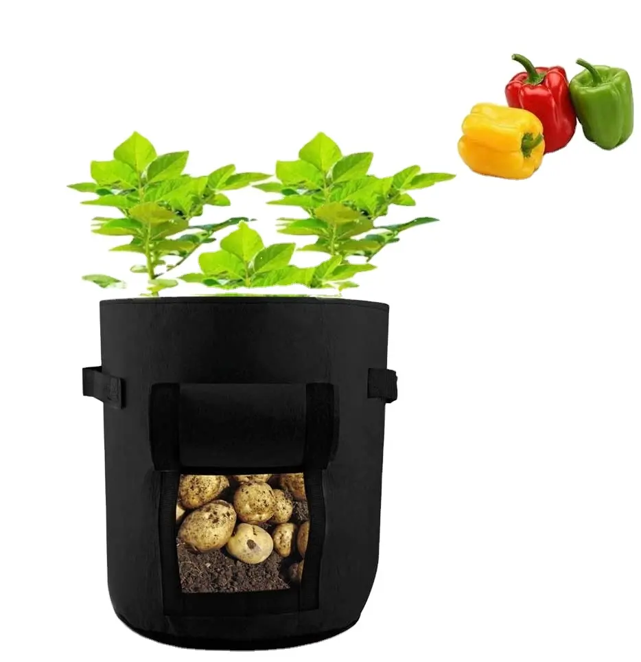 Wholesale Custom 5 / 7 / 10 Gallon Breathable Fabric Pots Felt Garden Potato Grow Bag With Handle