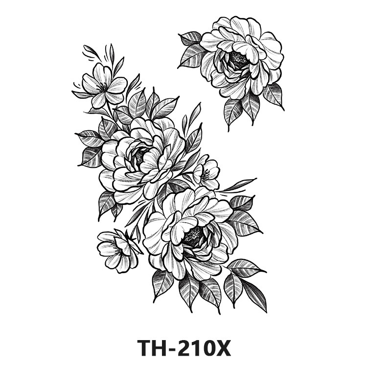 TH-210X