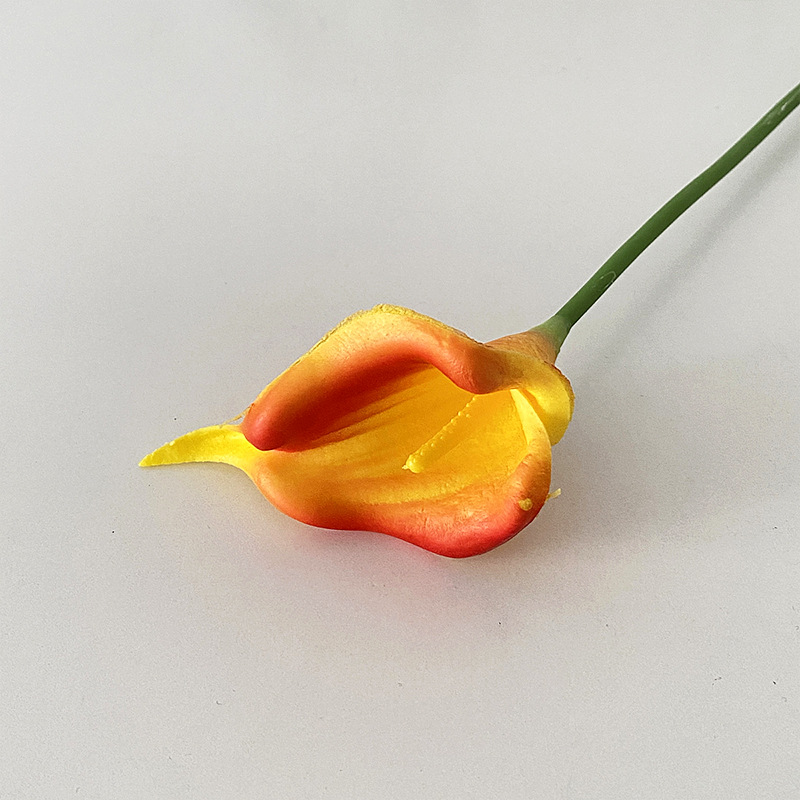 Noyau jaune