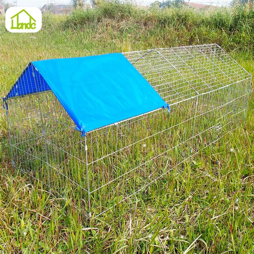 Caneta de exercício pet playpen, patinhas e geese são mantidos em captividade