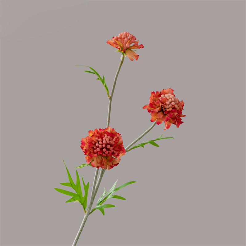 Orange rouge