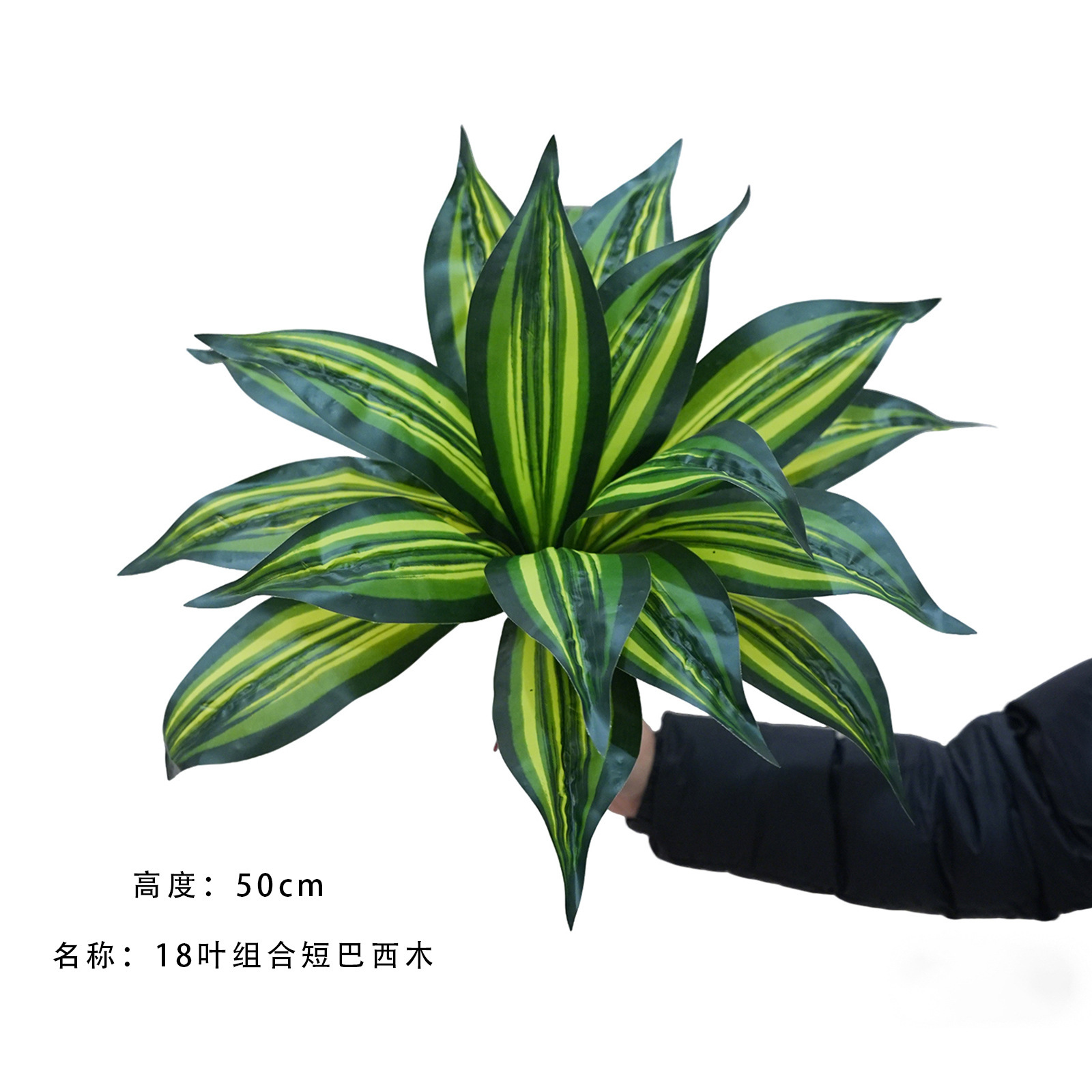 18-leaf combination short brazil one branch