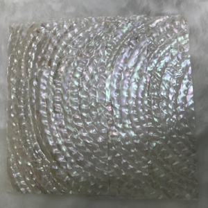 Doğal eğri şekli trocas turbo kabuk kağıt kabuk laminat, kabuk kakma - Product Image 3
