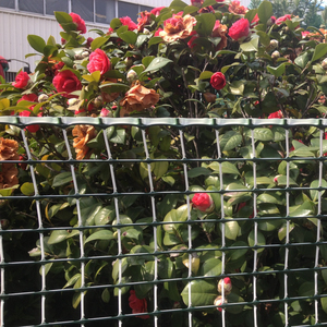 Rete in HDPE da giardino a traliccio in plastica per esterni dal Design personalizzato per la protezione delle piante - Product Image 1