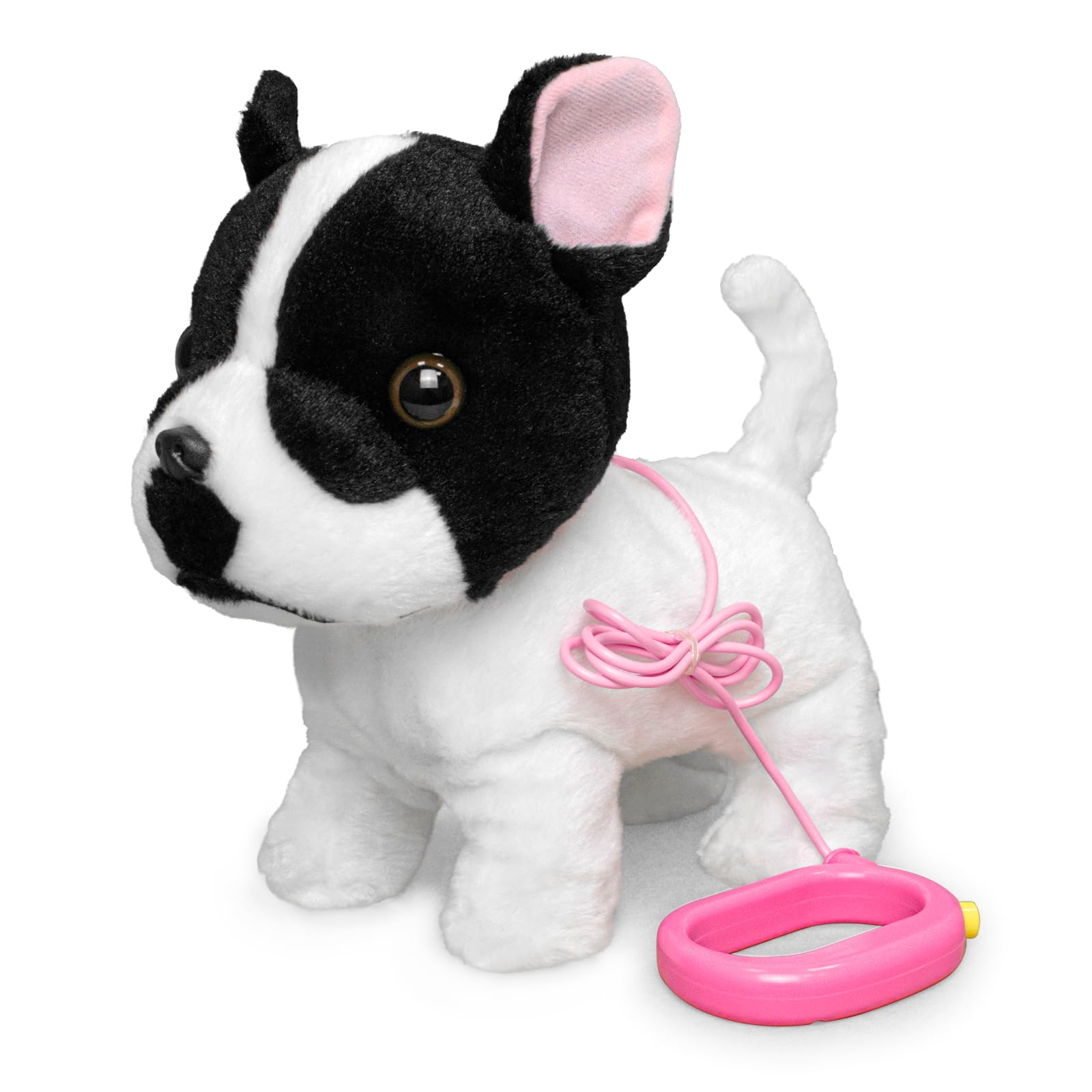White Bull Dog