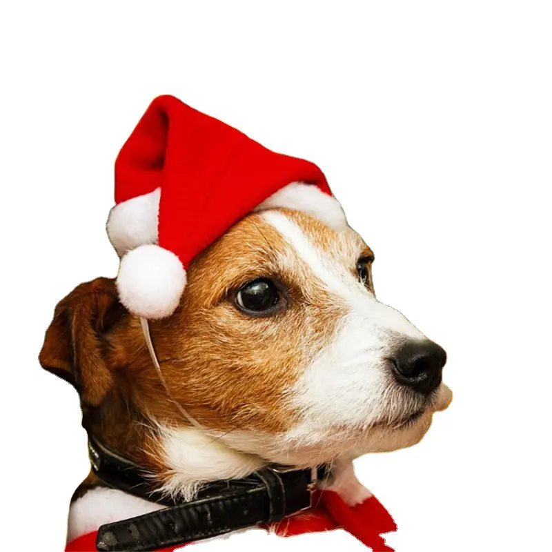 Bonnet rouge en coton pour animaux de compagnie, robe, nouvel an, nouvel an, fête, noël, nouvel an, chat, chien