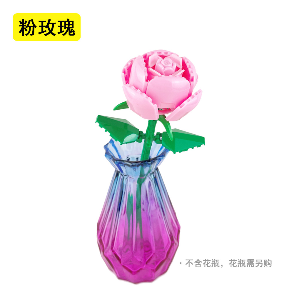02-rosa rosa