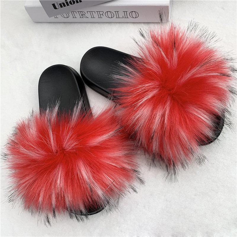 Raton laveur rouge