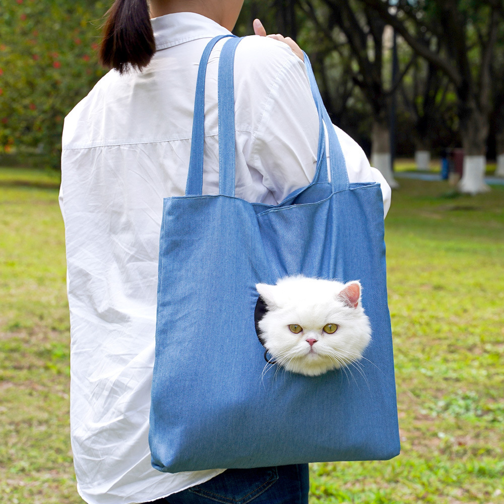 381 shoulder bag in light denim