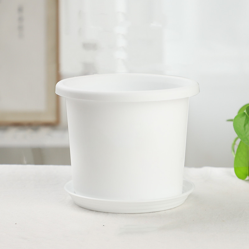 Plateau blanc