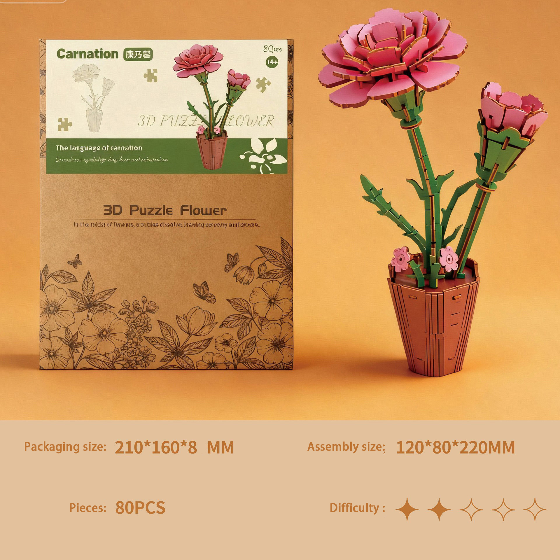 gift box-Carnation