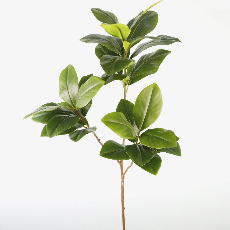 Magnolia à 3 fourches vert-h132cm