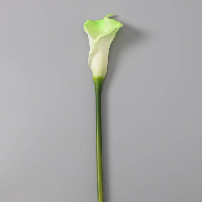 Vert clair