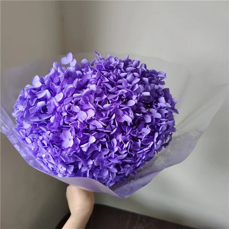 bleu violet